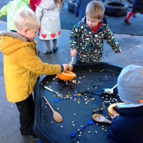 Exploringpumpkins-e1607364625780-800x598 Science at Manland