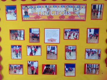 IMG_0021-800x598 Displays