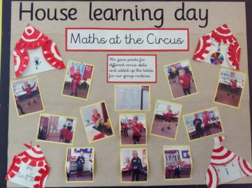 IMG_0050-800x598 Displays