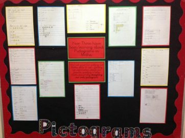 IMG_0051-800x598 Displays