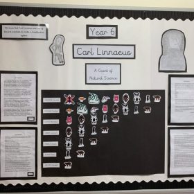 IMG_1916-800x638 Science at Manland