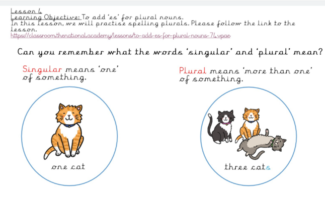 Single-Plural Seesaw