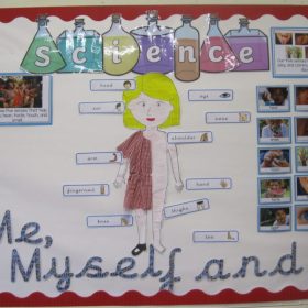 Year-1-display-800x602 Science at Manland