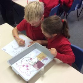 Year-2-last-year-800x635 Science at Manland