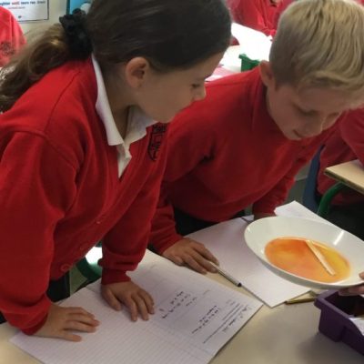 Year-4-science-1-561x800 Science at Manland